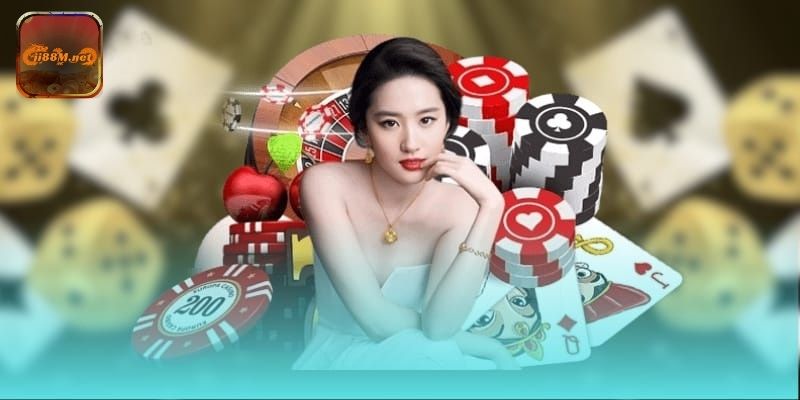 Các loại giấy phép giúp định hướng hoạt động hợp pháp và minh bạch